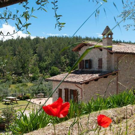 Agriturismo Molino Verde Montecchio  エクステリア 写真