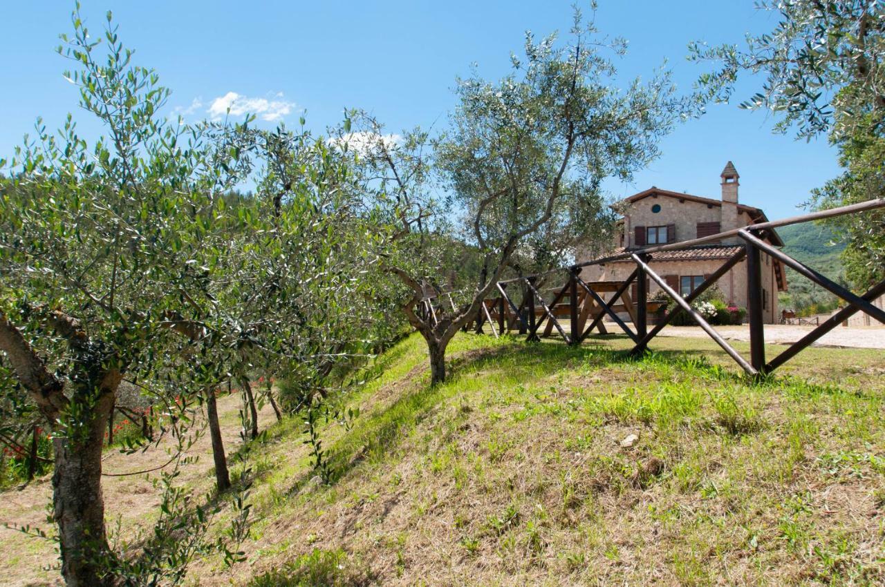 Agriturismo Molino Verde Montecchio  エクステリア 写真