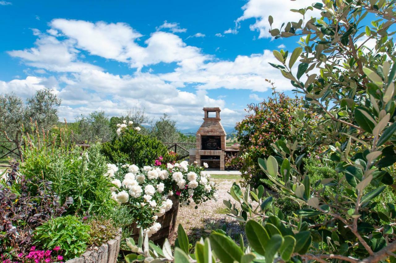 Agriturismo Molino Verde Montecchio  エクステリア 写真