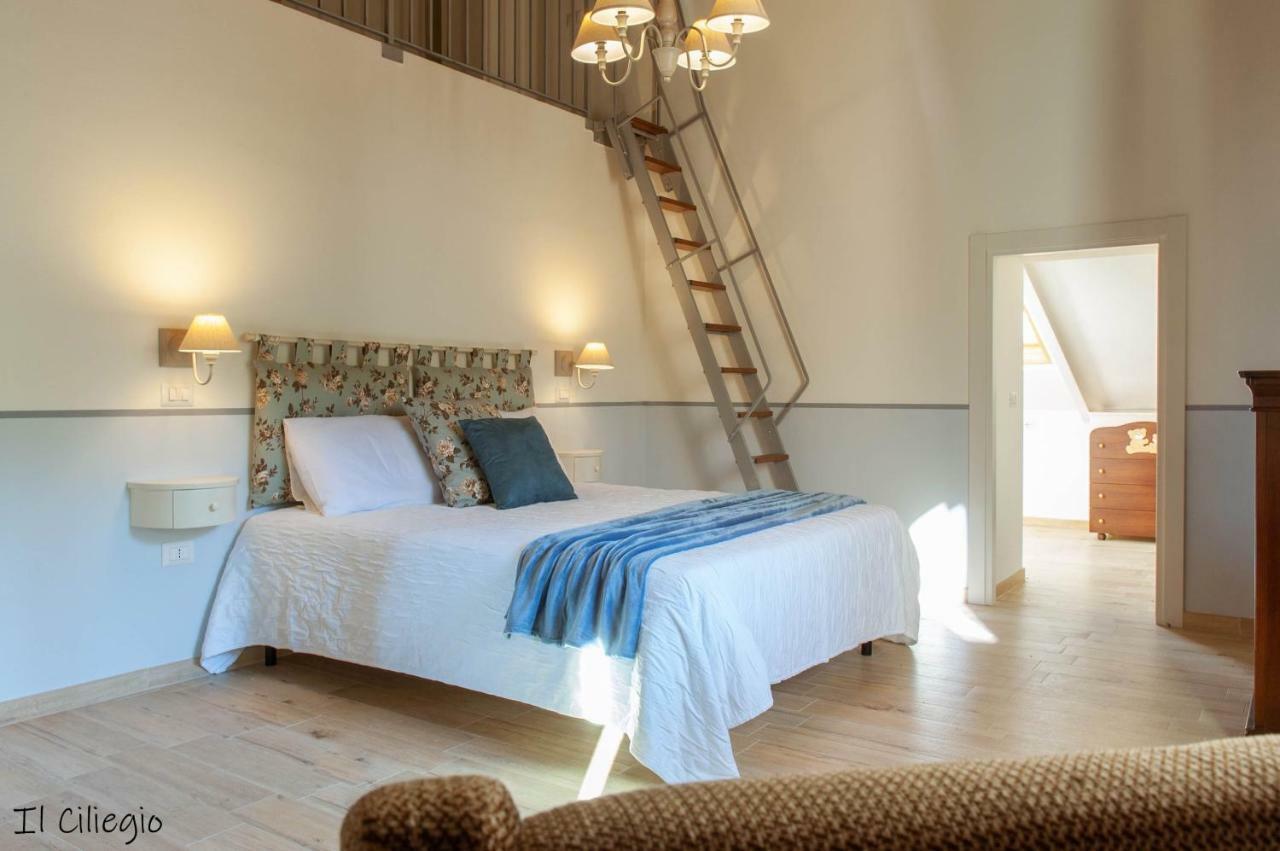 Agriturismo Molino Verde Montecchio  エクステリア 写真