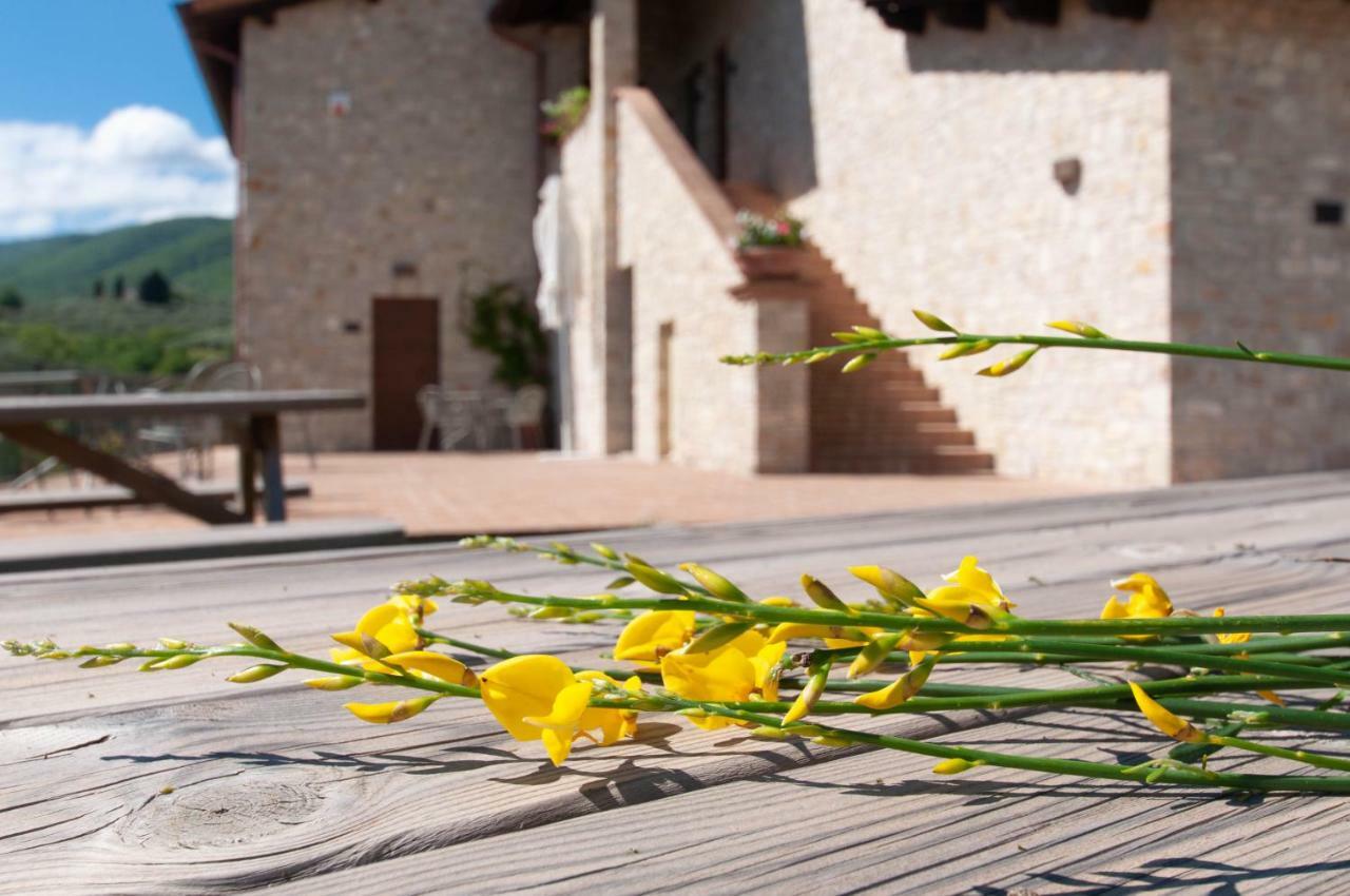 Agriturismo Molino Verde Montecchio  エクステリア 写真