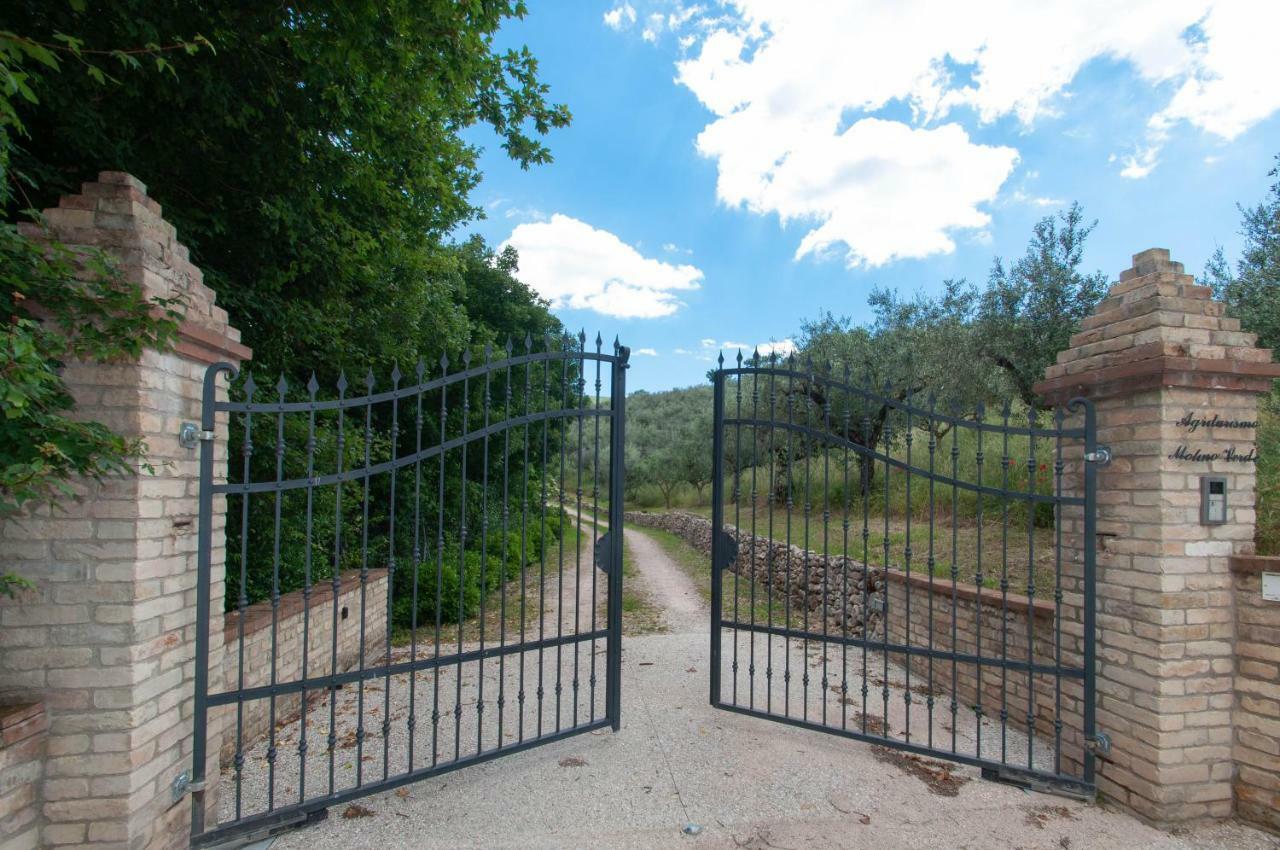 Agriturismo Molino Verde Montecchio  エクステリア 写真