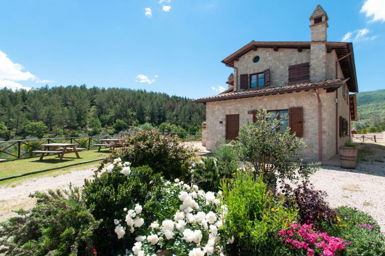 Agriturismo Molino Verde Montecchio  エクステリア 写真